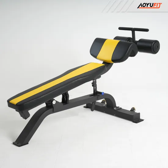 Aoyufit Ab Bench 상업용 체육관 코어 운동용 복부 조절식 벤치